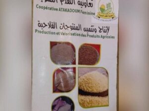 العيون سيدي ملوك حي التقدم 1