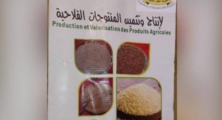 العيون سيدي ملوك حي التقدم 1